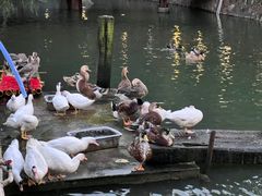 -香山小厨(南联路店)