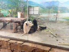 -上海野生动物园