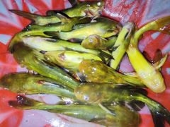 -胖大姐黄辣丁鱼庄(新津店)