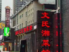-湖南文氏湘菜馆(顺河高架路店)
