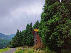 -武陵山森林公园