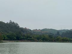 -顺峰山公园