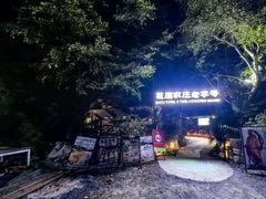 -芭厘农庄老字号·清远鸡