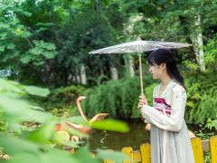-西苑半岛·中餐厅