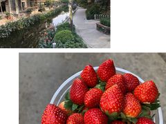 -黄埔古港