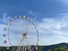 -铜川市金锁关石林