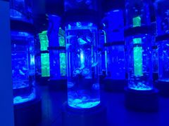 -石林冰雪海洋世界