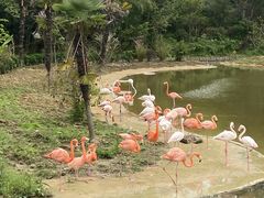 -杭州野生动物世界