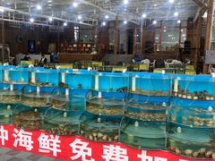 -沿海渔家院蒸汽海鲜·东北菜(东戴河店)