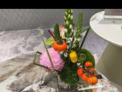 -明潪Selfology升维护理中心