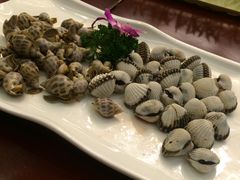 -国惠大酒楼(宝龙店)