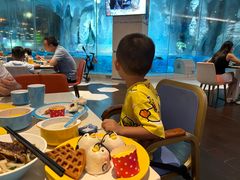 -帝企鹅自助餐厅•儿童岛•真企鹅(长隆企鹅酒店)