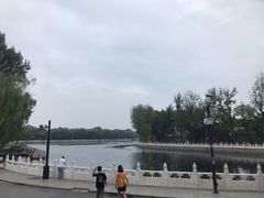 -东兴顺爆肚张
