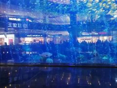 -成都浩海立方海洋公园