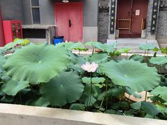 -罔极寺