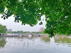 -济南大明湖景区