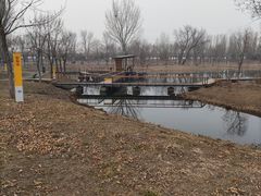 -东郊湿地公园