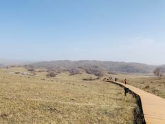 -塞罕坝国家级自然保护区