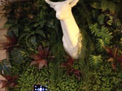 -尚橙歌坊主题式KTV(恒大商业广场店)