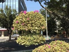 -海心沙亚运公园
