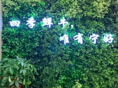 -宁好四季潮汕牛肉火锅