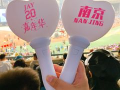 -南京奥林匹克体育中心-体育馆