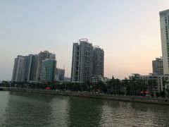 -野狸岛