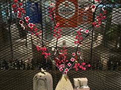 -湘爱(凤凰汇店)