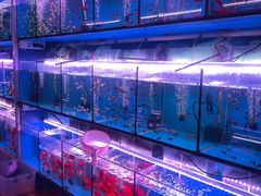 -花鸟鱼虫鲜花绿植市场(玉泉路店)