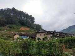 -福建土楼（华安）旅游区•大地土楼群
