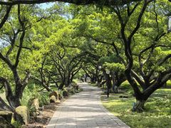 -江心屿景区