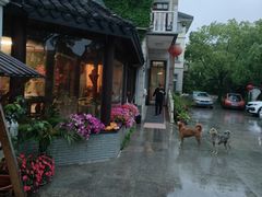 -龚家花园农家乐休闲别墅