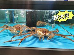 -麦德龙(郑东店)