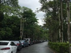 -瑞穗牧场