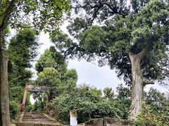 -金堂县云顶石城风景区