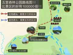 -五营红松林海景区