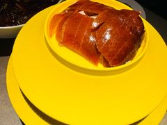 雍正烤鸭-花家怡园(四合院总店)