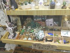 -麦凯乐(尚志大街店)