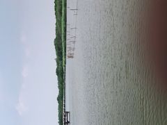 -西青郊野公园