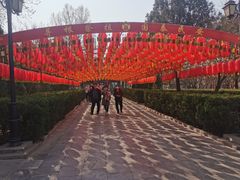 -大槐树寻根祭祖园
