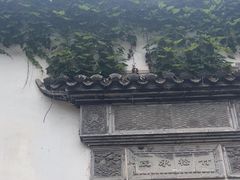 -日出青木