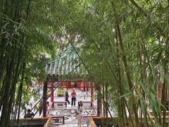-潭柘寺景区
