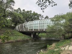 -黛秀湖公园