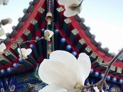 -西安市广仁寺