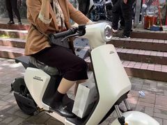-新大洲电动车(虹景小区店)