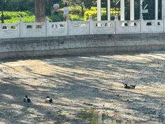 -丰台花园