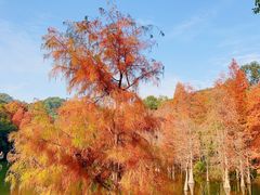 -广州市白云山风景名胜区