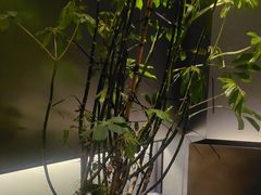 -望京辣宴·古法川菜(望京店)