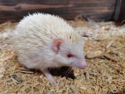 -酷嗒动物文化乐园(cutezoo西溪乐天城店)