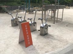-杭州少年儿童公园